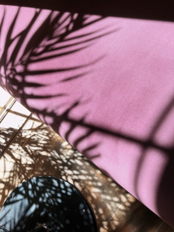 Close-up Of a Purple Fabric With The Shadow Of Plant Leaves Close-up Of a Purple Fabric With The Shadow Of Plant Leaves