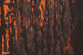 Close up of an eroded tin wall | Free public domain photo - 432180 Close up of an eroded tin wall | Free public domain photo - 432180