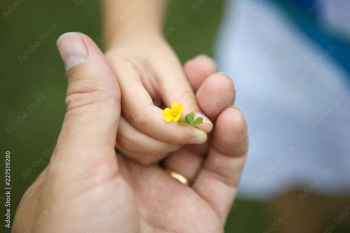 Close-up of child's hand giving flower to parent