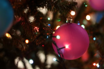 Close-up of Christmas Tree at Night Close-up of Christmas Tree at Night