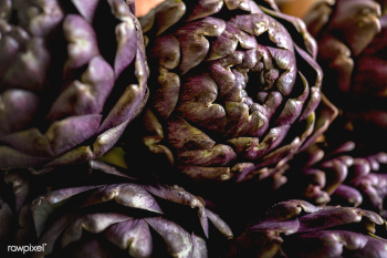 Close up of fresh artichokes | Free stock photo - 484735 Close up of fresh artichokes | Free stock photo - 484735