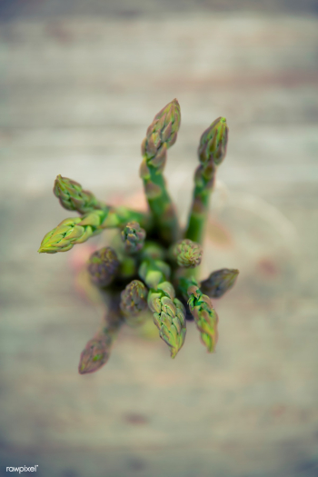 Close up of fresh asparagus | Free public domain photo - 432121 Close up of fresh asparagus | Free public domain photo - 432121