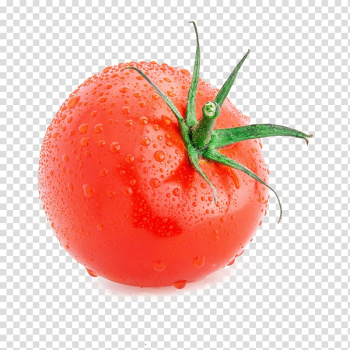 Close-up of red tomato, Plum tomato Cherry tomato Pizza Vegetable Tomato slicer, tomato transparent background PNG clipart