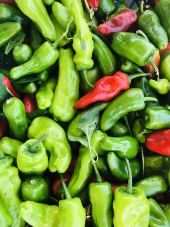 Close-Up Photo of Bell Peppers Close-Up Photo of Bell Peppers