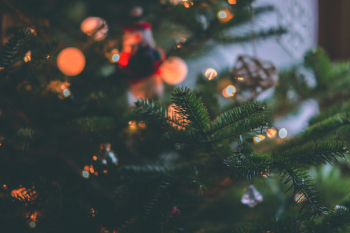 Close-Up Photo of Christmas Tree Close-Up Photo of Christmas Tree