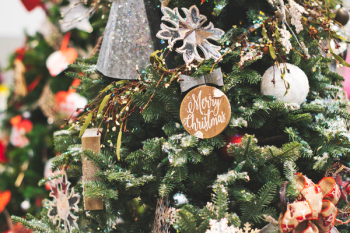 Close-Up Photo of Christmas Tree Close-Up Photo of Christmas Tree