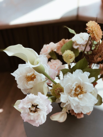 Close-Up Photo Of Flowers