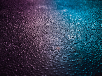 Close-Up Photo of Moisture Close-Up Photo of Moisture