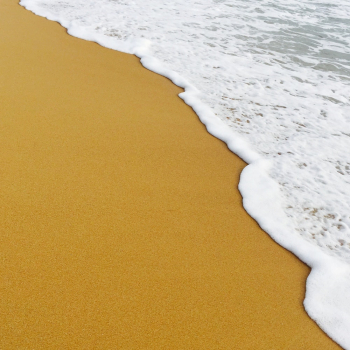 Close-up Photo of Sandy Beach Close-up Photo of Sandy Beach