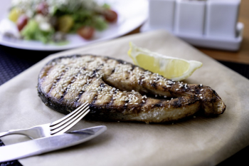 Close-Up Photo of Sliced Cooked Fish Close-Up Photo of Sliced Cooked Fish