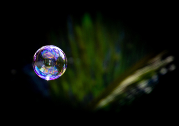 Close-up Photo of Water Dew Close-up Photo of Water Dew