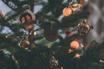 Close-up Photography Of Christmas Tree Close-up Photography Of Christmas Tree