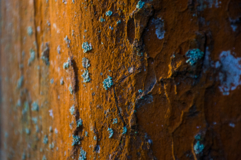 Close-up Photography of Wall Close-up Photography of Wall