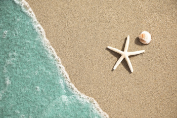 Close-up top view of water on tropical sandy beach Free Photo Close-up top view of water on tropical sandy beach Free Photo