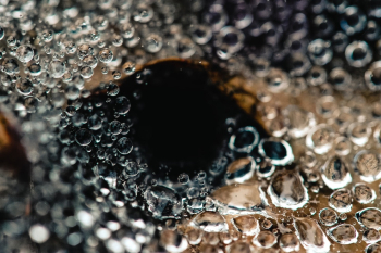 Close-Up View Of Bubbles Close-Up View Of Bubbles