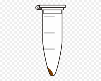 Closed Eppendorf Tube With Pellet Clip Art At Clker - Eppendorf Tube And Pellet Closed Eppendorf Tube With Pellet Clip Art At Clker - Eppendorf Tube And Pellet