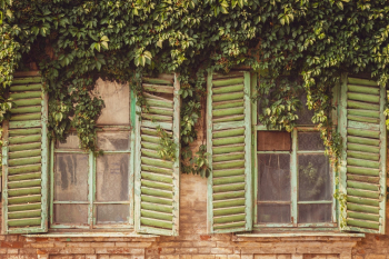 Closed Windows Closed Windows