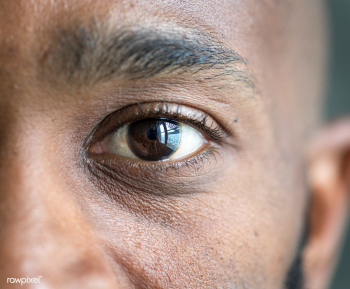 Closeup of a dark eye | Free stock photo - 383917 Closeup of a dark eye | Free stock photo - 383917