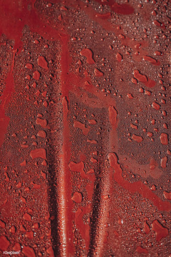 Closeup of a wet red tablecloth | Free stock photo - 488344 Closeup of a wet red tablecloth | Free stock photo - 488344
