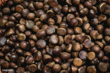 Closeup of chestnuts | Free public domain photo - 448186 Closeup of chestnuts | Free public domain photo - 448186