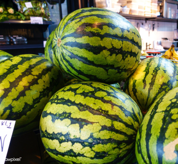 Closeup of fresh watermelons | Free stock photo - 448964