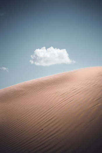 closeup photo of desert closeup photo of desert