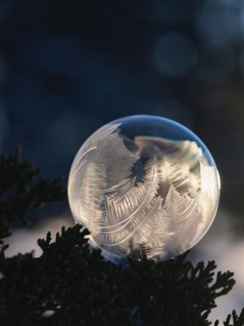 closeup photography of glass ball closeup photography of glass ball