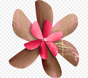 Cloth Napkins, Paper, Petal, Pink, Frangipani PNG Cloth Napkins, Paper, Petal, Pink, Frangipani PNG