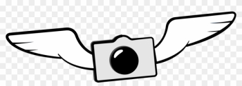 Cloud9logo Camera Bird - Logo Camera Png Cloud9logo Camera Bird - Logo Camera Png
