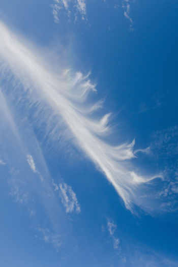 Cloudy blue sky Cloudy blue sky