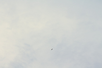 Cloudy Sky Cloudy Sky
