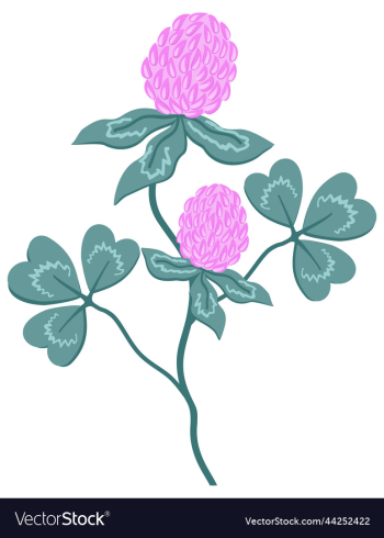 clover clover