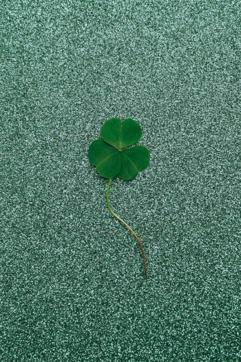 Clover on Glitter Background