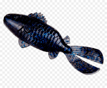 Cobalt blue Fish - Cobalt blue Fish -
