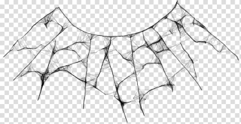 Cobweb transparent background PNG clipart