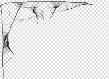 Cobweb transparent background PNG clipart