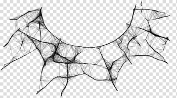 Cobweb transparent background PNG clipart