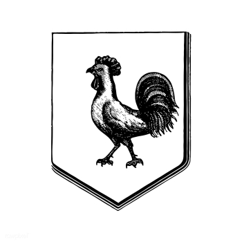 Cock crest | Free stock vector - 561107 Cock crest | Free stock vector - 561107