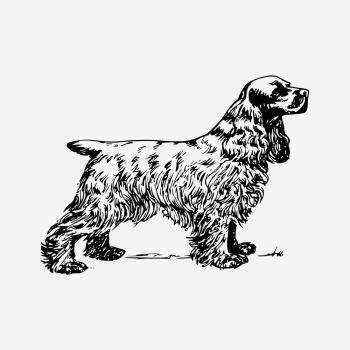 Cocker spaniel dog drawing, hand | Free Photo - rawpixel