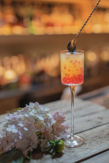 Cocktail Drink Cocktail Drink