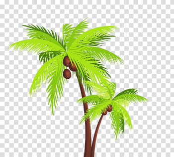 Coconut Arecaceae Tree , coconut tree transparent background PNG clipart Coconut Arecaceae Tree , coconut tree transparent background PNG clipart