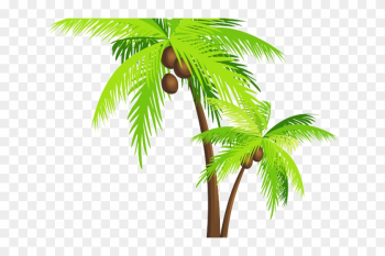 Coconut Clipart Pohon Kelapa - Coconut Tree Png Coconut Clipart Pohon Kelapa - Coconut Tree Png