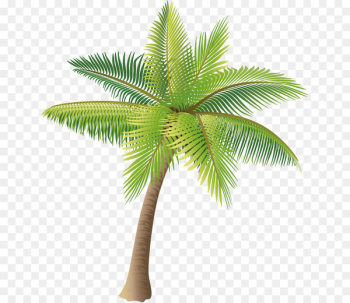 Coconut Icon - Coconut tree vector material png Coconut Icon - Coconut tree vector material png