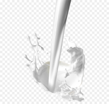Coconut milk Coconut water Powdered milk Flavored milk - milk 