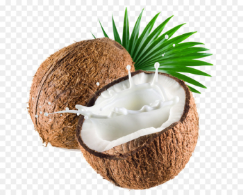 Coconut milk Coconut water Thai cuisine - White coconut juice 
