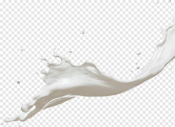 Coconut milk Dairy Products Splash, milk splash, white liquid illustration, food, hand, branch png