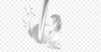 Coconut milk Food - Milk Splash Coconut milk Food - Milk Splash