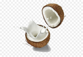 Coconut milk Soy milk Milk substitute - Coconut milk splash Coconut milk Soy milk Milk substitute - Coconut milk splash