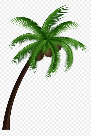 Coconut Palm Tree Png Clip Art - Coconut Tree With Coconut Png