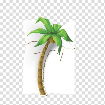 Coconut Tree Arecaceae Illustration, coconut tree transparent background PNG clipart Coconut Tree Arecaceae Illustration, coconut tree transparent background PNG clipart